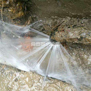 安陆消防管道漏水检测